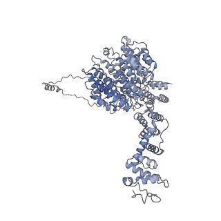 32275_7w3a_U_v1-2
Structure of USP14-bound human 26S proteasome in substrate-engaged state ED4_USP14
