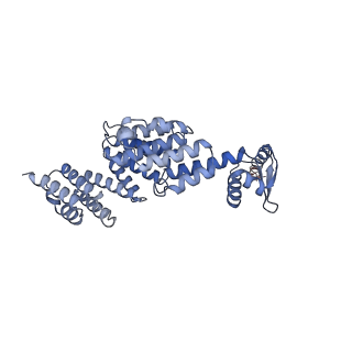 32275_7w3a_X_v1-2
Structure of USP14-bound human 26S proteasome in substrate-engaged state ED4_USP14
