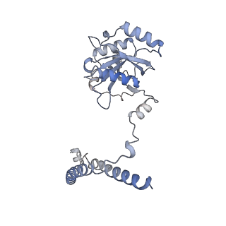 32275_7w3a_c_v1-2
Structure of USP14-bound human 26S proteasome in substrate-engaged state ED4_USP14