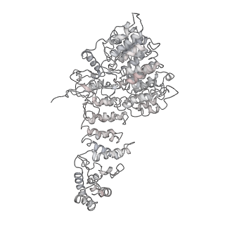 32275_7w3a_f_v1-2
Structure of USP14-bound human 26S proteasome in substrate-engaged state ED4_USP14