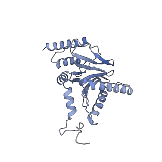 32275_7w3a_i_v1-2
Structure of USP14-bound human 26S proteasome in substrate-engaged state ED4_USP14
