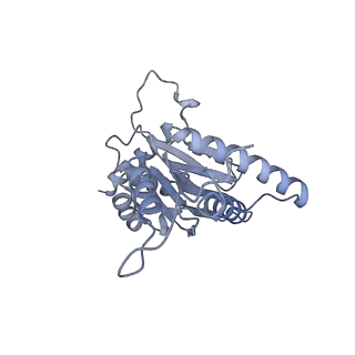 32275_7w3a_j_v1-2
Structure of USP14-bound human 26S proteasome in substrate-engaged state ED4_USP14