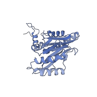 32275_7w3a_m_v1-2
Structure of USP14-bound human 26S proteasome in substrate-engaged state ED4_USP14