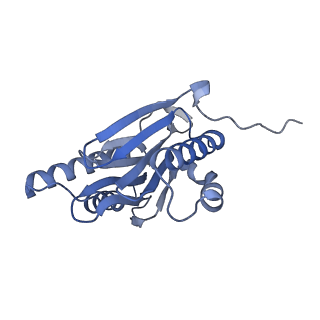 32275_7w3a_n_v1-2
Structure of USP14-bound human 26S proteasome in substrate-engaged state ED4_USP14