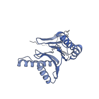 32275_7w3a_o_v1-2
Structure of USP14-bound human 26S proteasome in substrate-engaged state ED4_USP14