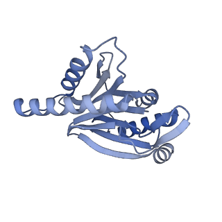 32275_7w3a_r_v1-2
Structure of USP14-bound human 26S proteasome in substrate-engaged state ED4_USP14