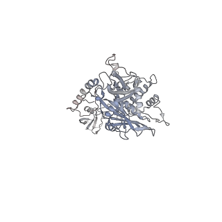 32275_7w3a_x_v1-2
Structure of USP14-bound human 26S proteasome in substrate-engaged state ED4_USP14