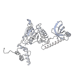 32276_7w3b_B_v1-2
Structure of USP14-bound human 26S proteasome in substrate-engaged state ED5_USP14