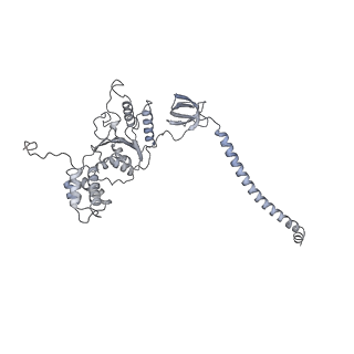 32276_7w3b_C_v1-2
Structure of USP14-bound human 26S proteasome in substrate-engaged state ED5_USP14