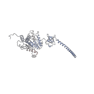 32276_7w3b_D_v1-2
Structure of USP14-bound human 26S proteasome in substrate-engaged state ED5_USP14
