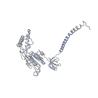 32276_7w3b_E_v1-2
Structure of USP14-bound human 26S proteasome in substrate-engaged state ED5_USP14