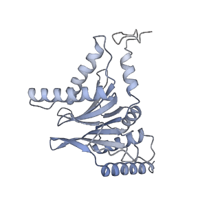 32276_7w3b_I_v1-2
Structure of USP14-bound human 26S proteasome in substrate-engaged state ED5_USP14