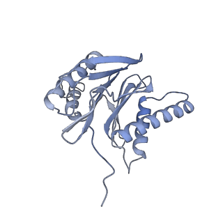 32276_7w3b_S_v1-2
Structure of USP14-bound human 26S proteasome in substrate-engaged state ED5_USP14