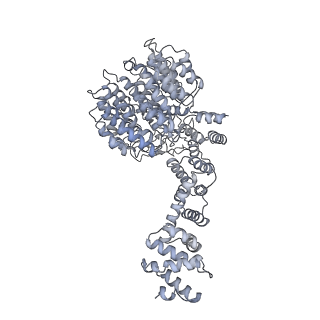 32276_7w3b_U_v1-2
Structure of USP14-bound human 26S proteasome in substrate-engaged state ED5_USP14