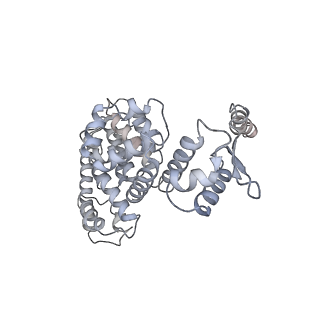 32276_7w3b_Y_v1-2
Structure of USP14-bound human 26S proteasome in substrate-engaged state ED5_USP14