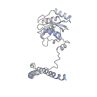 32276_7w3b_c_v1-2
Structure of USP14-bound human 26S proteasome in substrate-engaged state ED5_USP14