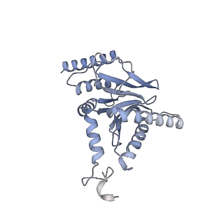32276_7w3b_i_v1-2
Structure of USP14-bound human 26S proteasome in substrate-engaged state ED5_USP14