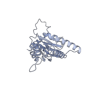 32276_7w3b_j_v1-2
Structure of USP14-bound human 26S proteasome in substrate-engaged state ED5_USP14