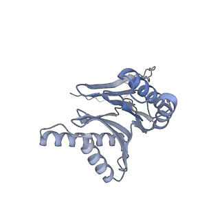 32276_7w3b_o_v1-2
Structure of USP14-bound human 26S proteasome in substrate-engaged state ED5_USP14