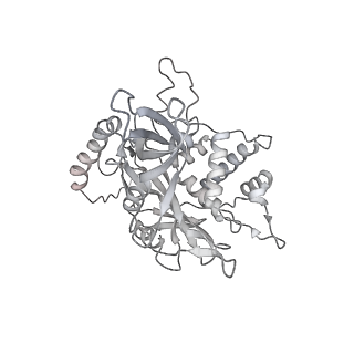 32276_7w3b_x_v1-2
Structure of USP14-bound human 26S proteasome in substrate-engaged state ED5_USP14