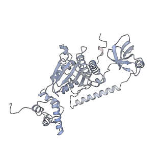 32277_7w3c_B_v1-2
Structure of USP14-bound human 26S proteasome in substrate-engaged state ED0_USP14