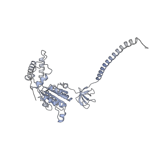 32277_7w3c_E_v1-2
Structure of USP14-bound human 26S proteasome in substrate-engaged state ED0_USP14