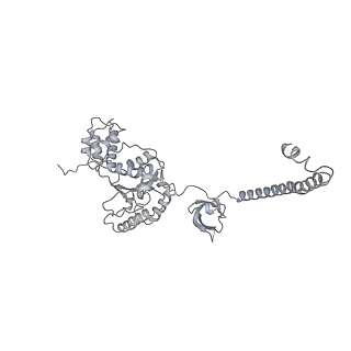 32277_7w3c_F_v1-2
Structure of USP14-bound human 26S proteasome in substrate-engaged state ED0_USP14