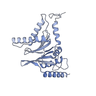 32277_7w3c_I_v1-2
Structure of USP14-bound human 26S proteasome in substrate-engaged state ED0_USP14