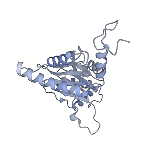 32277_7w3c_J_v1-2
Structure of USP14-bound human 26S proteasome in substrate-engaged state ED0_USP14