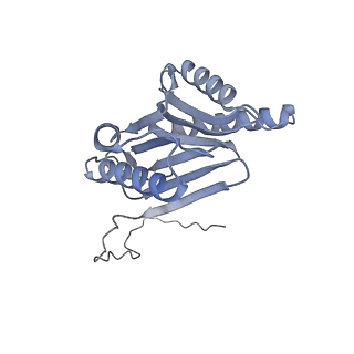 32277_7w3c_O_v1-2
Structure of USP14-bound human 26S proteasome in substrate-engaged state ED0_USP14