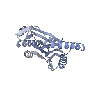 32277_7w3c_R_v1-2
Structure of USP14-bound human 26S proteasome in substrate-engaged state ED0_USP14