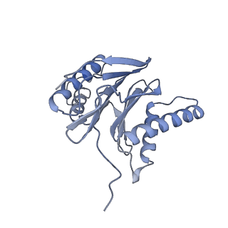 32277_7w3c_S_v1-2
Structure of USP14-bound human 26S proteasome in substrate-engaged state ED0_USP14