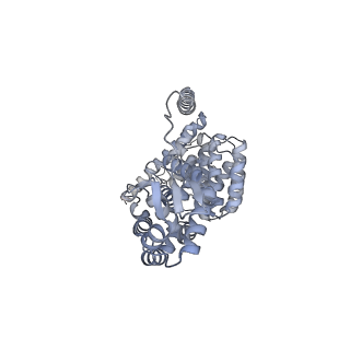 32277_7w3c_V_v1-2
Structure of USP14-bound human 26S proteasome in substrate-engaged state ED0_USP14