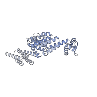 32277_7w3c_X_v1-2
Structure of USP14-bound human 26S proteasome in substrate-engaged state ED0_USP14