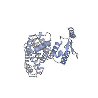 32277_7w3c_Y_v1-2
Structure of USP14-bound human 26S proteasome in substrate-engaged state ED0_USP14