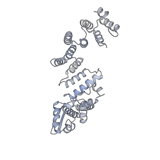 32277_7w3c_a_v1-2
Structure of USP14-bound human 26S proteasome in substrate-engaged state ED0_USP14