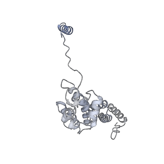 32277_7w3c_d_v1-2
Structure of USP14-bound human 26S proteasome in substrate-engaged state ED0_USP14