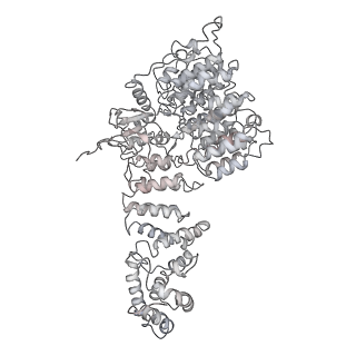 32277_7w3c_f_v1-2
Structure of USP14-bound human 26S proteasome in substrate-engaged state ED0_USP14