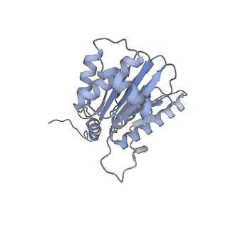 32277_7w3c_g_v1-2
Structure of USP14-bound human 26S proteasome in substrate-engaged state ED0_USP14