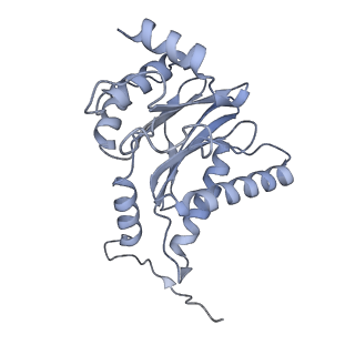 32277_7w3c_h_v1-2
Structure of USP14-bound human 26S proteasome in substrate-engaged state ED0_USP14