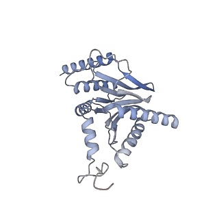 32277_7w3c_i_v1-2
Structure of USP14-bound human 26S proteasome in substrate-engaged state ED0_USP14