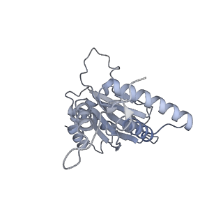 32277_7w3c_j_v1-2
Structure of USP14-bound human 26S proteasome in substrate-engaged state ED0_USP14