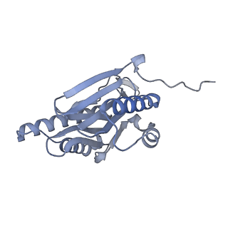 32277_7w3c_n_v1-2
Structure of USP14-bound human 26S proteasome in substrate-engaged state ED0_USP14