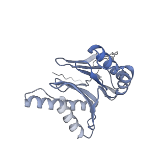 32277_7w3c_o_v1-2
Structure of USP14-bound human 26S proteasome in substrate-engaged state ED0_USP14