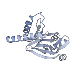 32277_7w3c_r_v1-2
Structure of USP14-bound human 26S proteasome in substrate-engaged state ED0_USP14
