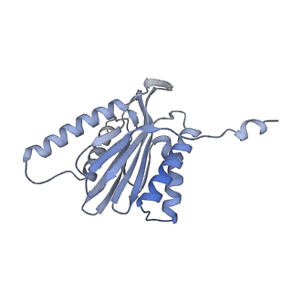 32277_7w3c_t_v1-2
Structure of USP14-bound human 26S proteasome in substrate-engaged state ED0_USP14