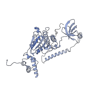 32278_7w3f_B_v1-2
Structure of USP14-bound human 26S proteasome in substrate-engaged state ED1_USP14