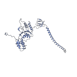 32278_7w3f_C_v1-2
Structure of USP14-bound human 26S proteasome in substrate-engaged state ED1_USP14