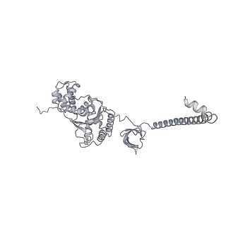 32278_7w3f_F_v1-2
Structure of USP14-bound human 26S proteasome in substrate-engaged state ED1_USP14