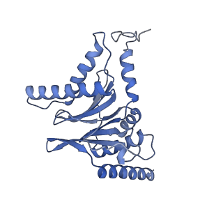 32278_7w3f_I_v1-2
Structure of USP14-bound human 26S proteasome in substrate-engaged state ED1_USP14